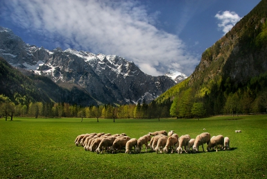 Logarska Dolina (www.slovenia.info, photo: Darinka Mladenovic)