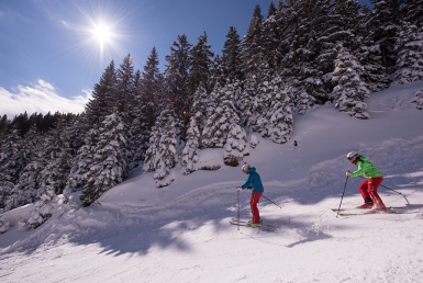 Lyžování v Golte (www.slovenia.info, photo: Iztok Medja)