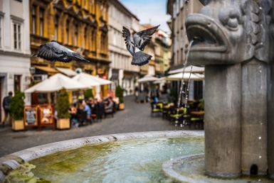 Ljubljana (www.slovenia.info, photo: Jacob Riglin)