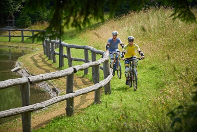 Bike park v Cerkno (www.slovenia.info, photo: Tomo Jesenicnik)