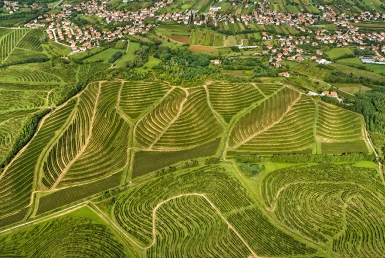 Vipavske kopce (www.slovenia.info, photo: Marijan Mocivnik)