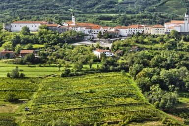 Vipavské údolí (www.slovenia.info, photo: Marijan Mocivnik)