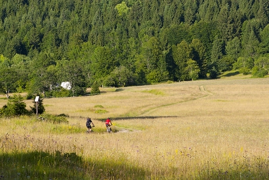 Vyjížďky do Ponikve (www.slovenia.info, photo: Zvone Butala)