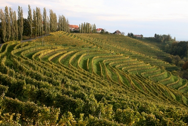 Vinska stezka Jeruzalem (www.slovenia.info, photo: Coppo di Marco Coppo)