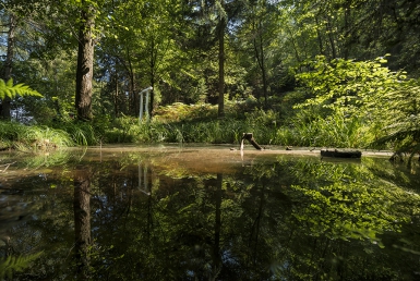 Les nedaleko Celje (www.slovenia.info, photo: Jure Kravanja)