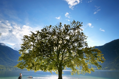 Bohinj (www.slovenia.info, photo: Tomo Jesenicnik)