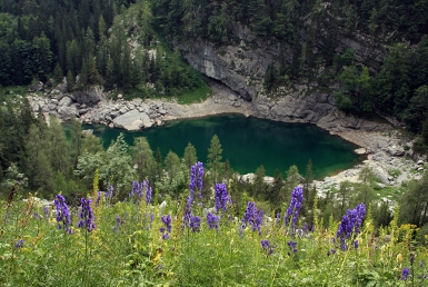 Bohinj (www.slovenia.info, photo: Turizem Bohinj)