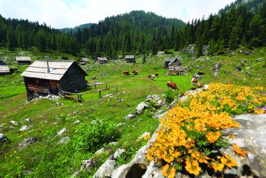 Bohinj (www.slovenia.info, photo: Mitja Sodja)