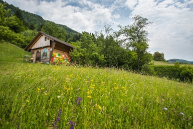 Bohinjska Bistrica (www.slovenia.info, photo: Jost Gantar)