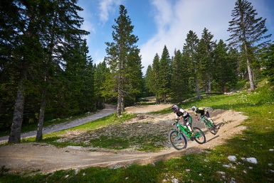 Bike Park Krvavec (www.slovenia.info, photo: Tomo Jesenicnik)